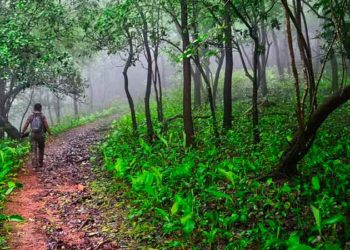 Turahalli Forest Bangalore