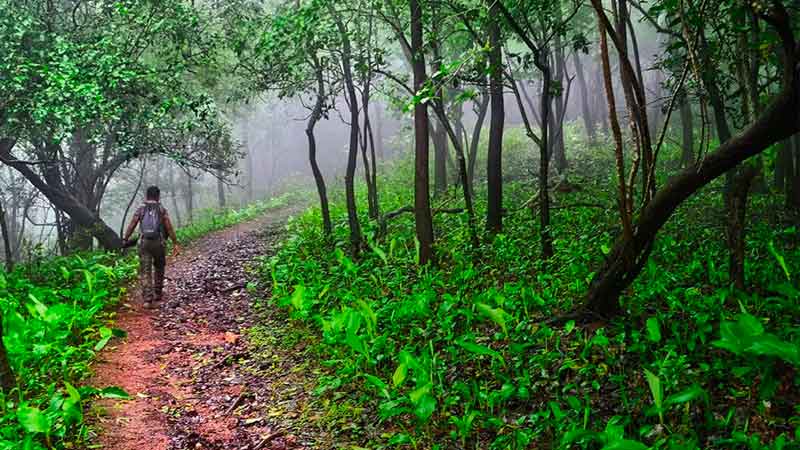 Turahalli Forest Bangalore