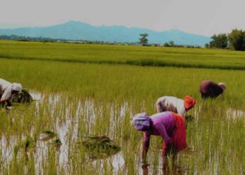 Farming Karnataka