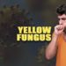 Yellow Fungus